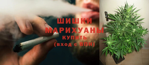 дживик Майский