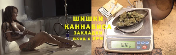 дживик Майский