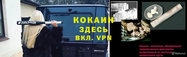 дживик Майский