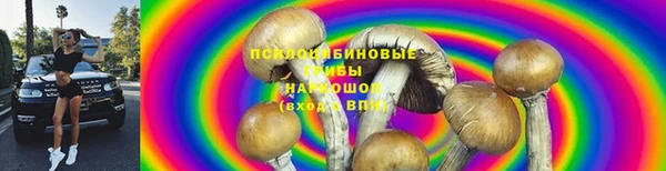 дживик Майский
