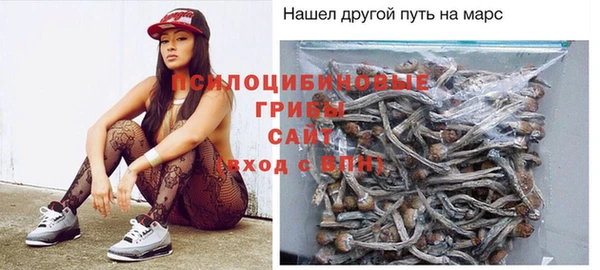 дживик Майский
