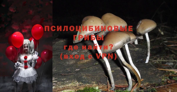 дмт Магадан