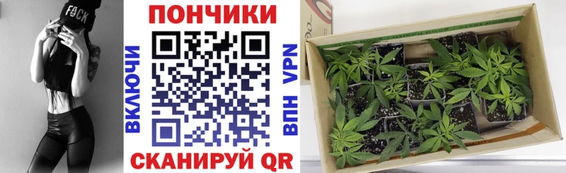 купить закладку  Агидель  Каннабис сатива 